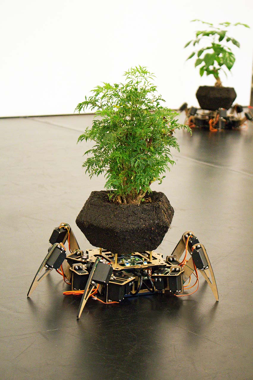 Cyber (-netik) Forest 3