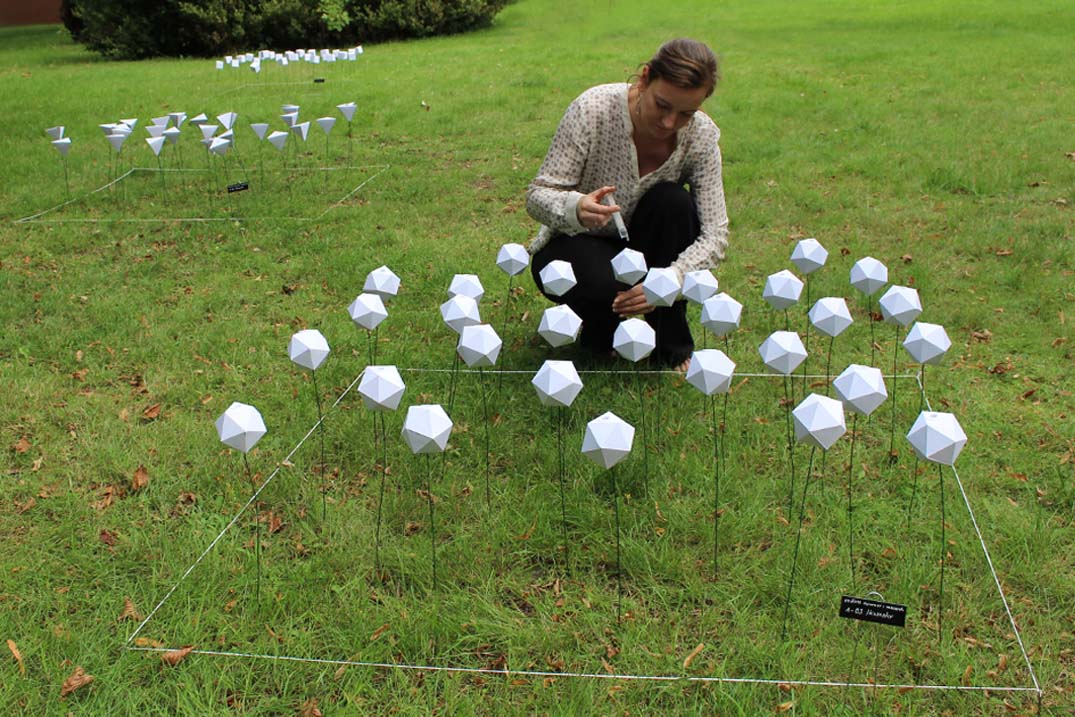 endless summer : research