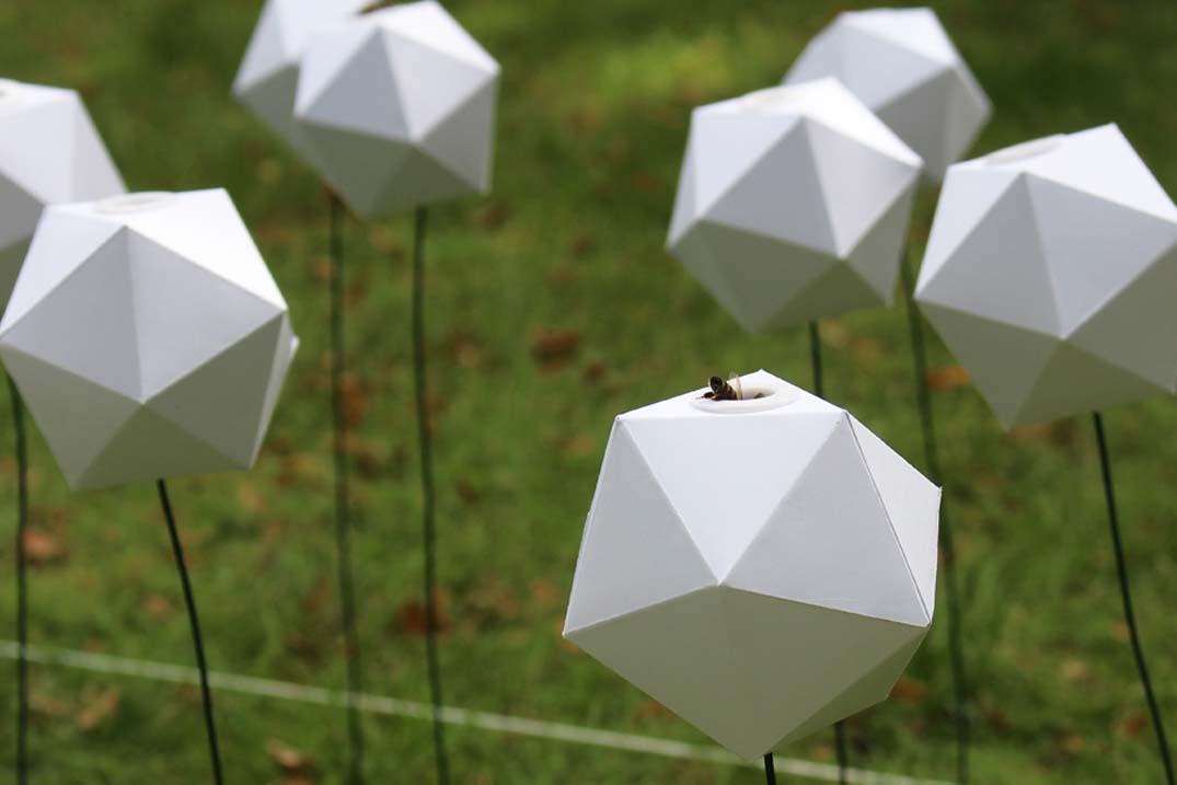 endless summer : research