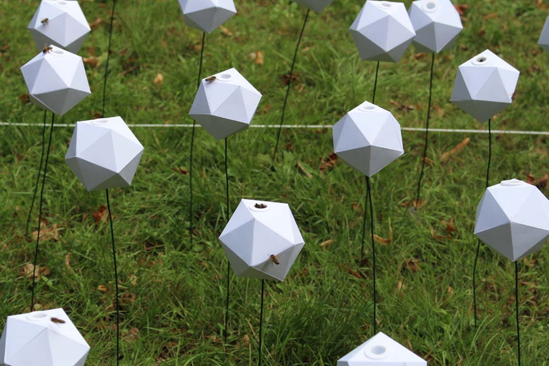 endless summer : research