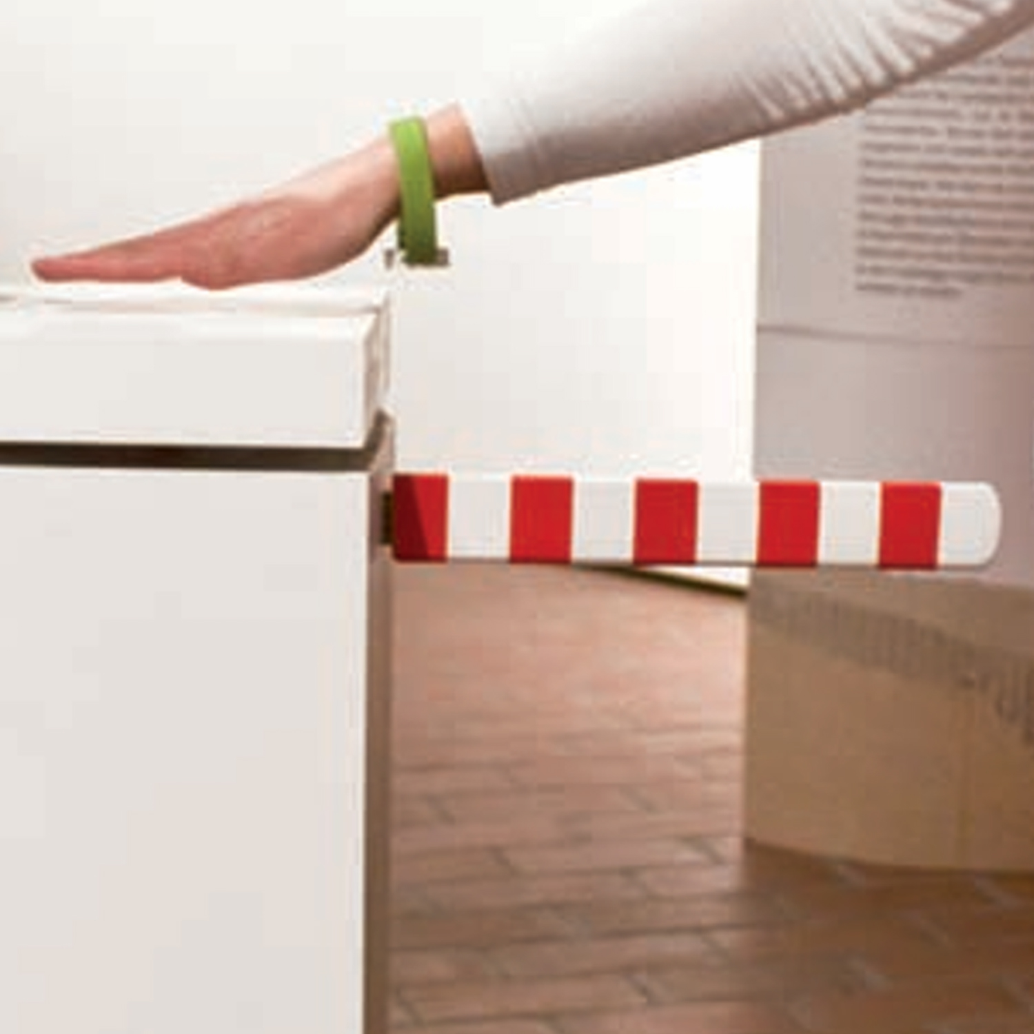 Perfect Fruit Graphic Pear